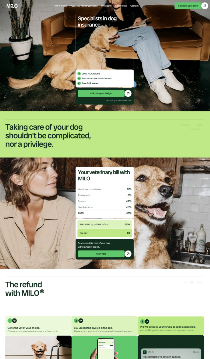 Founder website portfolio example